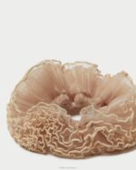 femmes Loeffler Randall beauté chouchou superposé plissé Emmy accessoires 8HL8167 - Image 2